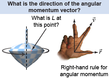 Angular momentum is a vector quantity