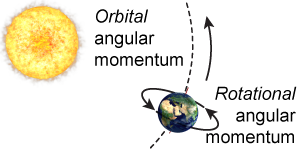 Rotational and orbital angular momentum