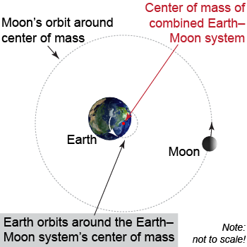 Earth and Moon both rotate around their common center of mass