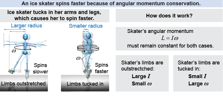 Angular momentum conservation and a spinning ice skater