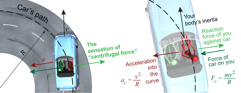 Illustration of the effect commonly referred to as the centrifugal “force”