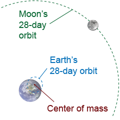 Orbits of the Moon and Earth around their common center of mass