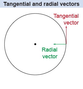 Tangential and radial vectors
