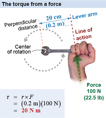 The line of action lies in the direction of the force.