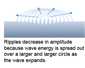 Ripples in water decrease in amplitude as they spread out