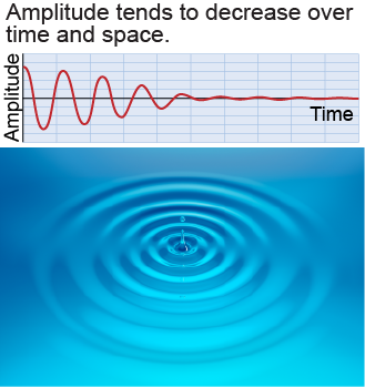 Amplitude often decreases over time and space through damping