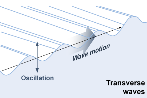 Transverse waves