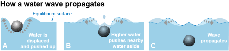 How a water wave propagates