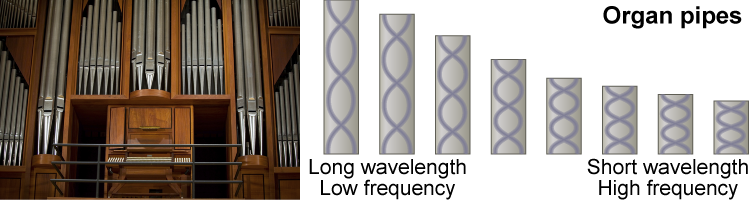 Wavelengths and frequencies for organ pipes