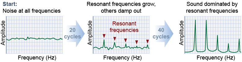 How resonance becomes established 