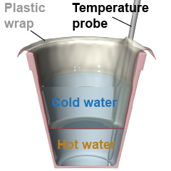 Use cold and hot water in a foam cup to compare convection and conduction