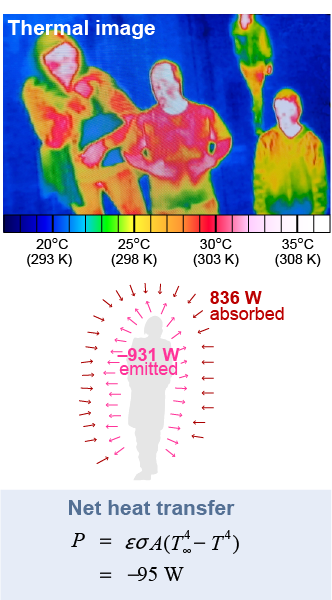 Radiant heat transfer for the human body