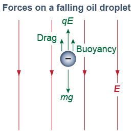 Forces on a oil drop at terminal velocity