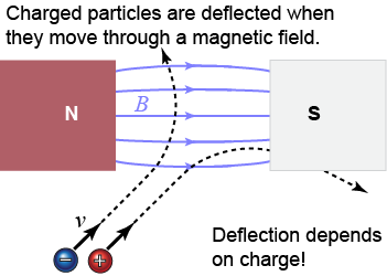 Magnetic fields exert a force on moving charged particles