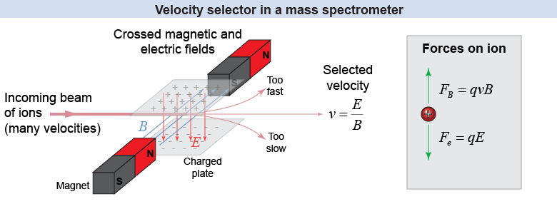 How the velocity selector in a mass spectrometer works