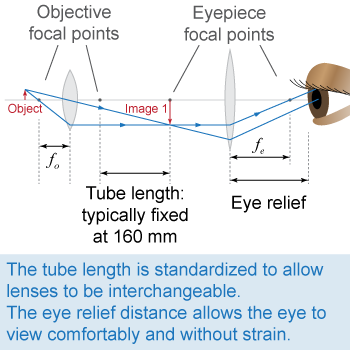 Microscope scientific instruments are usually designed with fixed tube lengths and eye relief distances