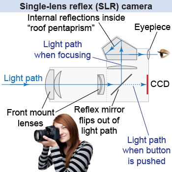 How a single-lens reflex (SLR) camera works