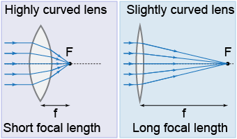 Examples of two different lens curvatures