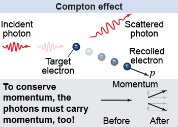 Compton effect that shows that photons have momentum and hence act like particles