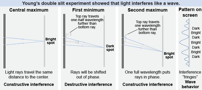 Young's double slit experiment that showed light exhibits wave behavior by interfering with itself