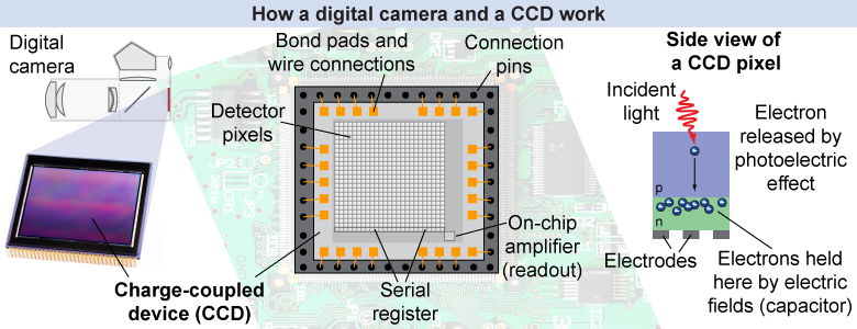 How the charge-coupled device (CCD) works in a digital camera