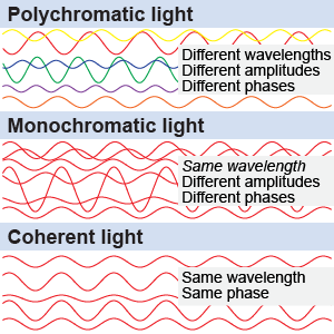 Monochromatic light has the same wavelength