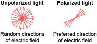 Polarized and unpolarized light