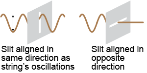 An oscillating string provides a visual depiction of wave polarization