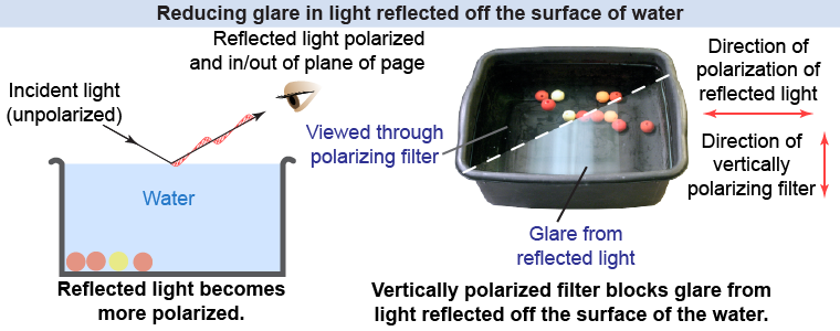 Polarization of reflected light causes glare, which can be minimized by viewing through a vertically polarized filter