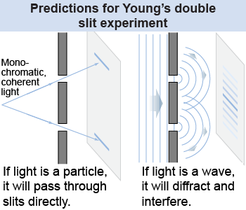 Predictions of the particle and wave models of light for Young's double slit experiment