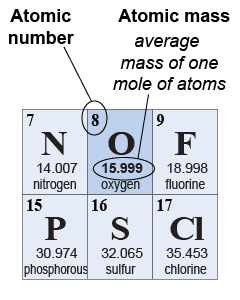 Atomic number and atomic mass on the periodic table