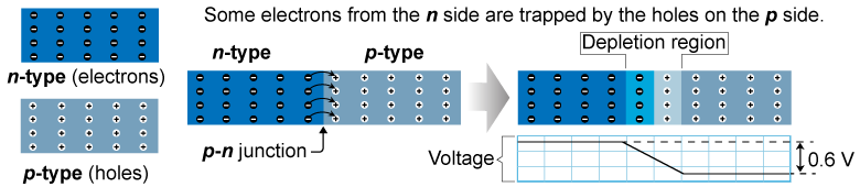 Depletion region in a <i>p</i>-<i>n</i> junction