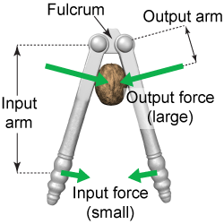 Nutcracker as a lever for breaking shells