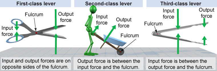 Three different classes of levers