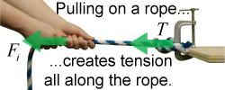 Tension in a rope