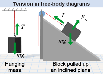 Drawing the direction of tension, <i>T<i>