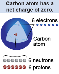A carbon atom has a net charge of zero