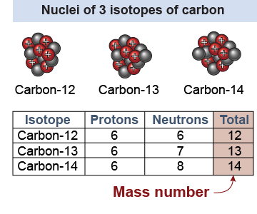 Carbon isotopes vary in mass number.