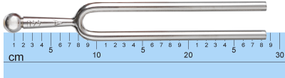 What is the length of this tuning fork?