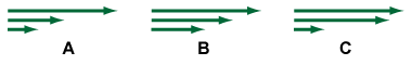 Which of these vectors represent 2 N, 4 N, and 8 N?