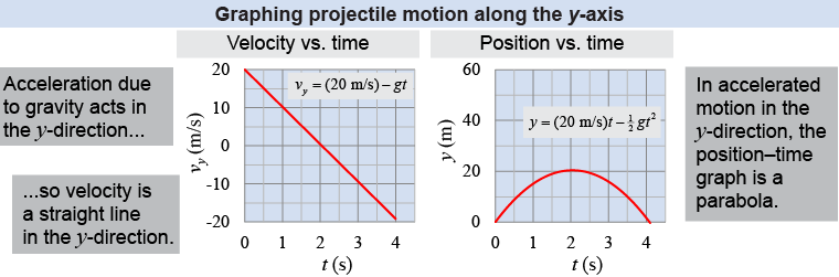 Graphing projectile motion in the <i>y</i>-direction