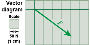 A vector diagram and its scale