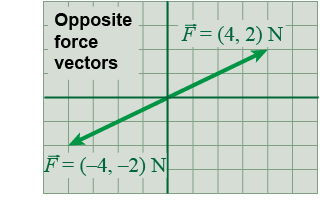 a vector and its opposite