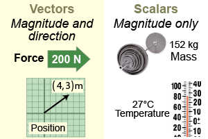 Vectors and scalars