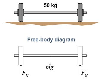 Free-body diagram for a barbell on the floor