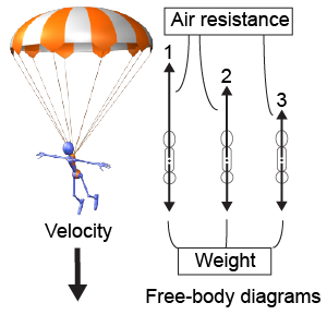 Which of the three diagrams corresponds to the skydiver's terminal velocity?