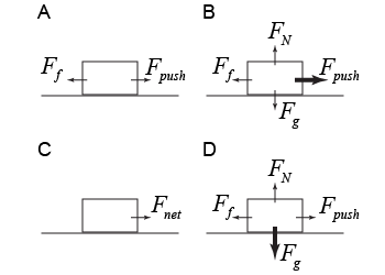 Which shows the correct free body diagram?