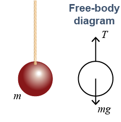 Free-body diagram of a hanging ball