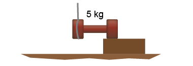 Draw a free-body diagram of the dumbbell