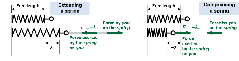 Forces from a spring when extending or compressing it